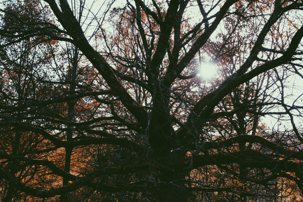 Rückblick: November 2015