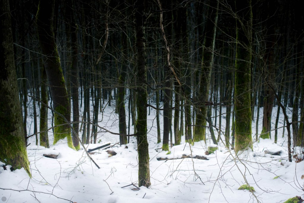 2014-online_0109_light-is-below-your-feet_001_online