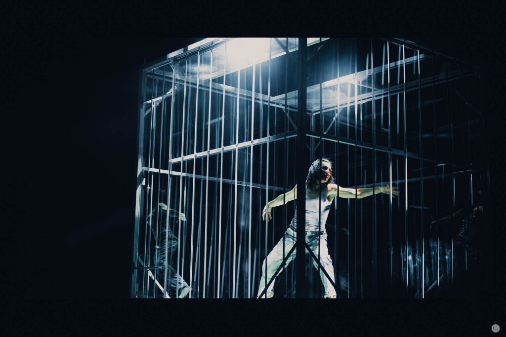 2016-online_0025_flic-flac-cinematic_006