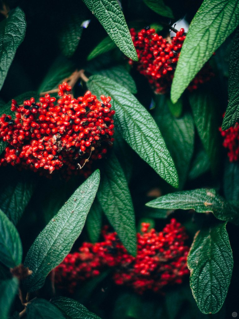 2014-online_0883_covered_001