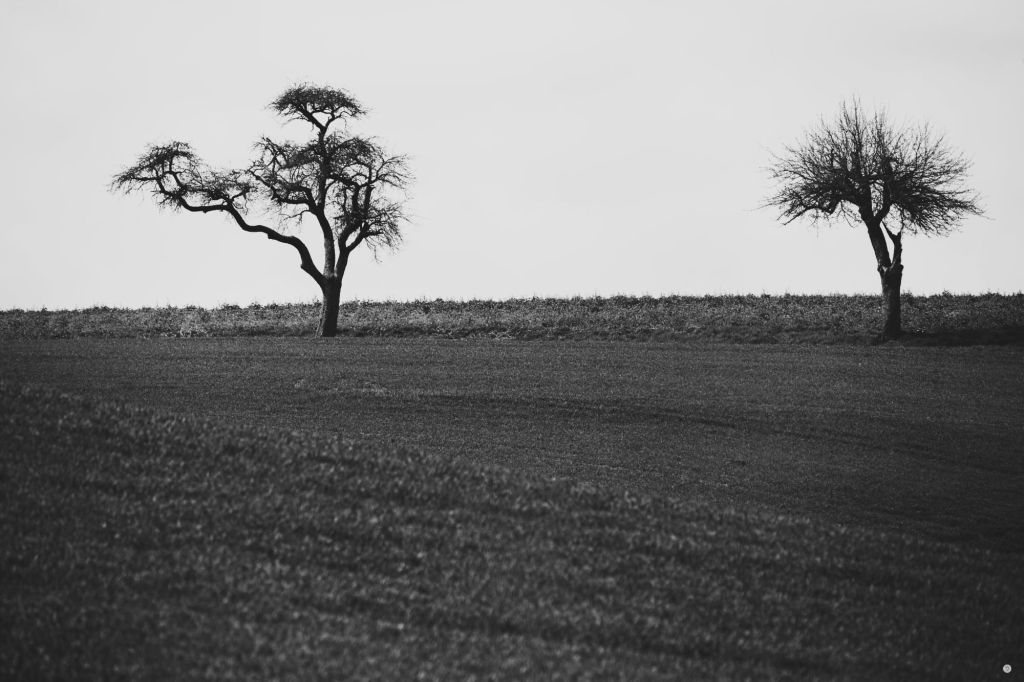 Processed with VSCO with b6 preset