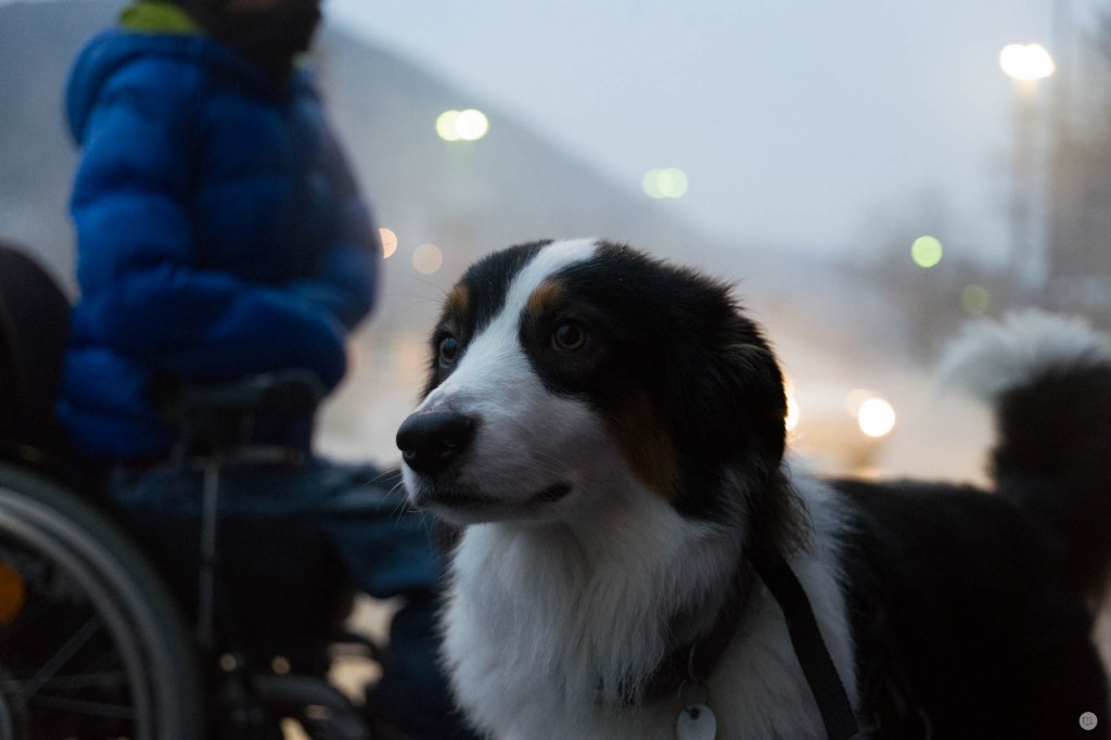 2016-online_0040_hands-on_leica-sl_006