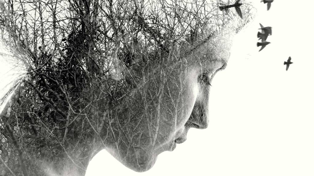 GibA: Doppelbelichtungen