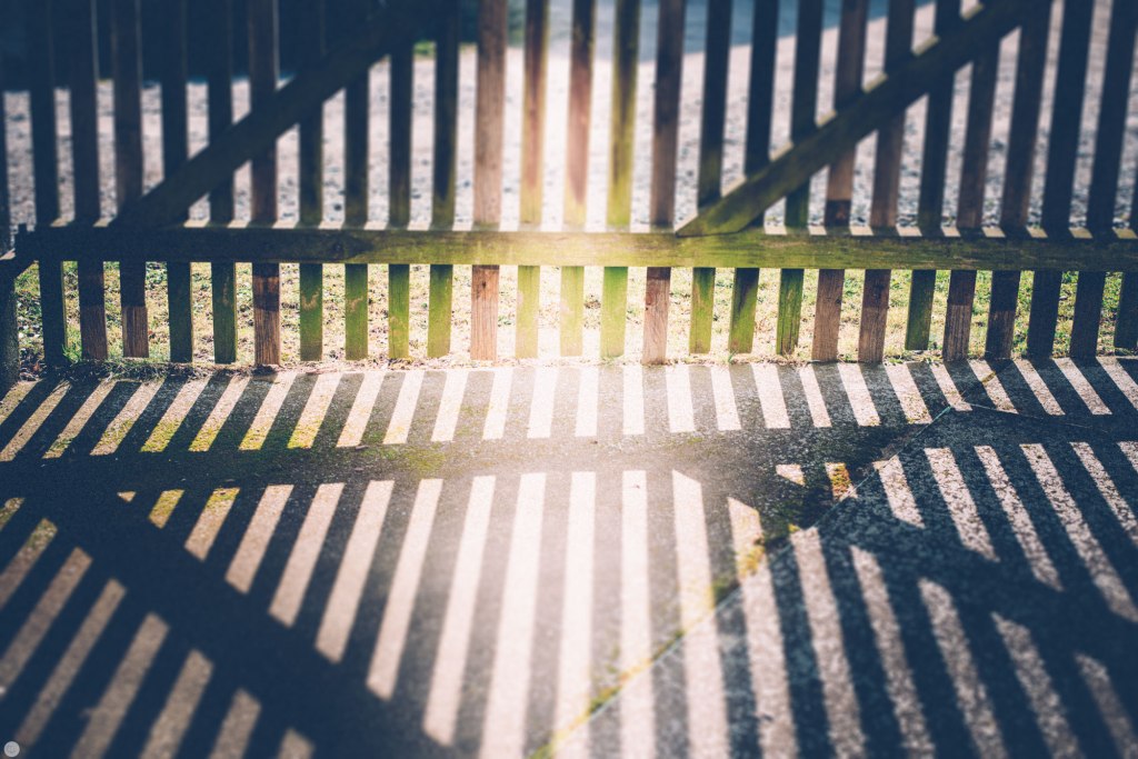 2014-online_0273_treasure_001_online