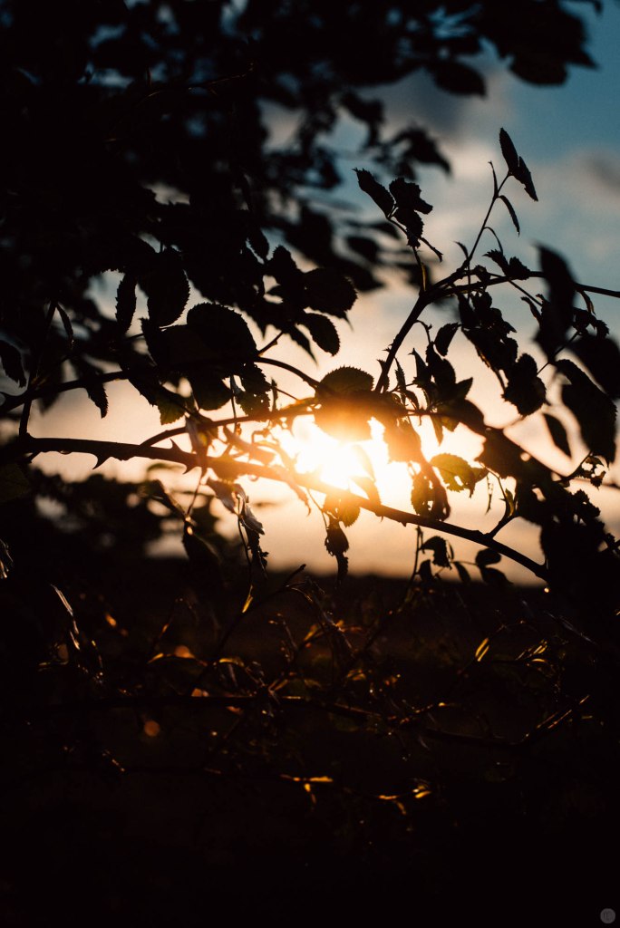 2014-online_0878_glowing-eye_001