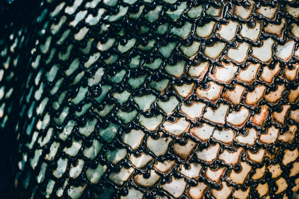 2014-online_0890_scales_001