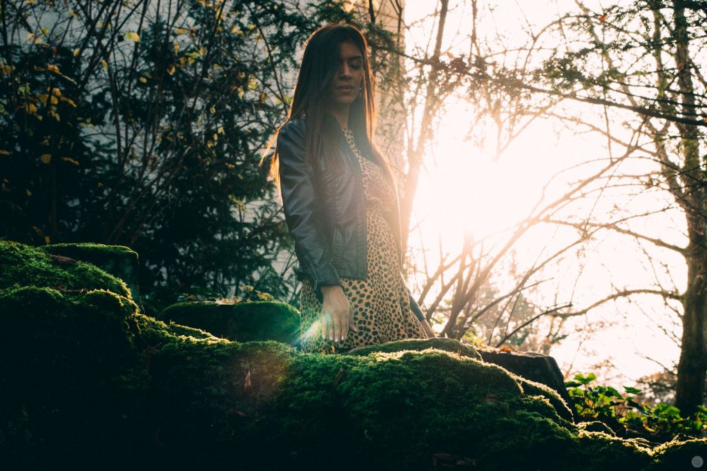 2015-online_0038_teal-shadows-orange-lights_003