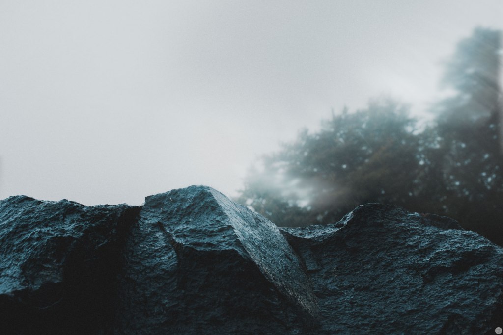 2015-online_0286_stone-compressed-sorrows_005