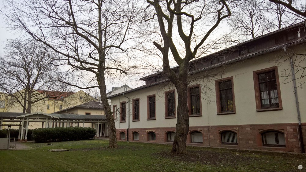 2016-online_0122_hands-on_microsoft-lumia-950xl_002