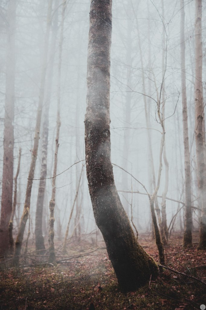 2015-online_0363_a-place-of-woven-dreams_001