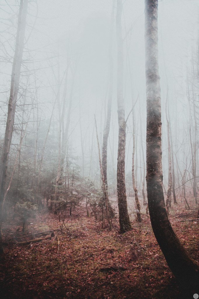 2015-online_0365_a-place-of-woven-dreams_003