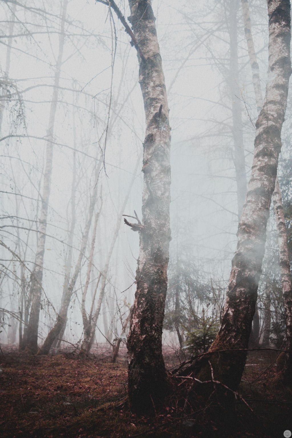 a place of whoven dreams 5 –&nbsp;8