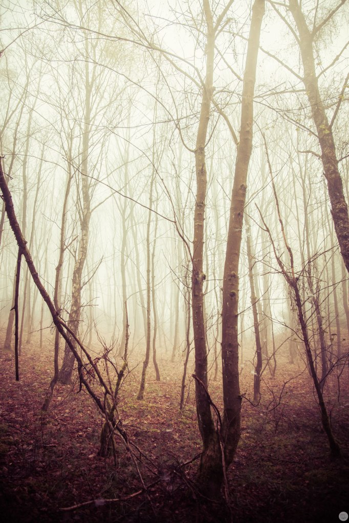 2015-online_0375_glowing-spaces_002