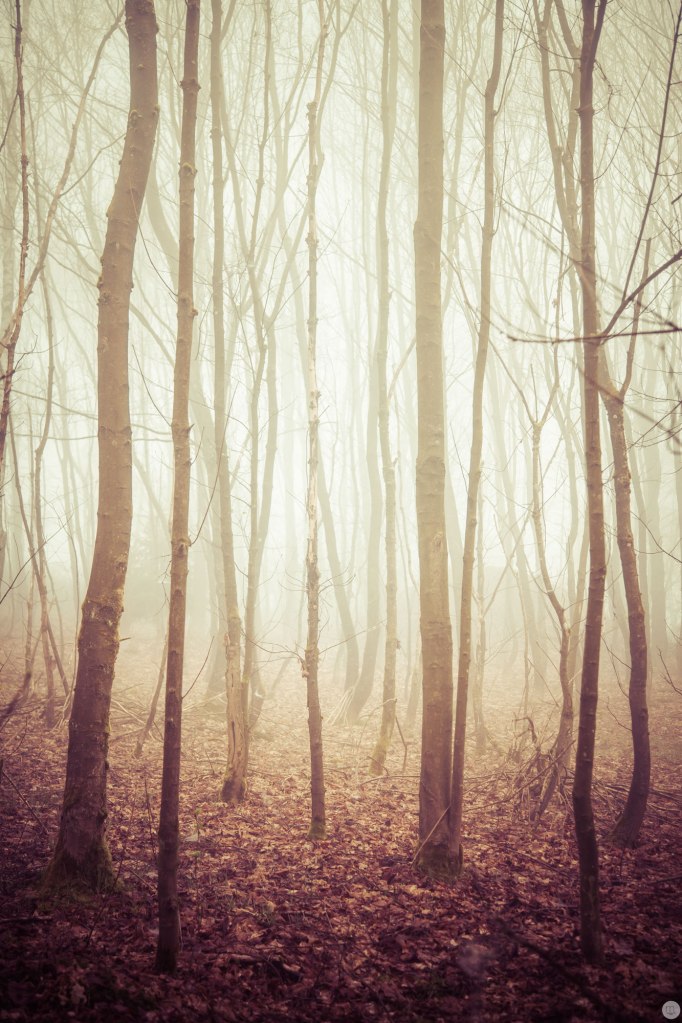 2015-online_0376_glowing-spaces_003