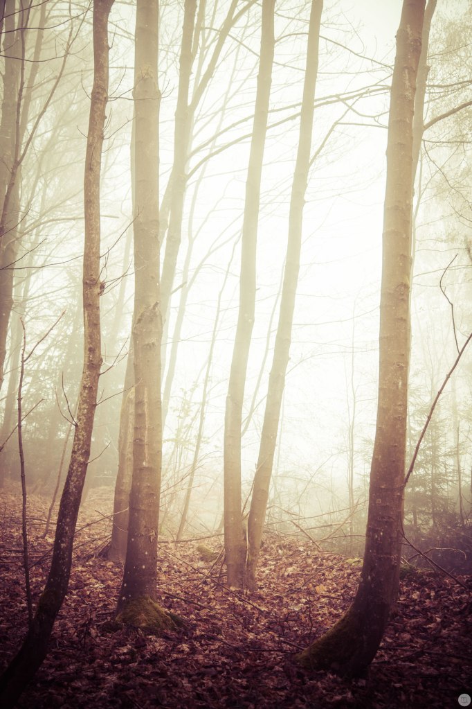 2015-online_0377_glowing-spaces_004