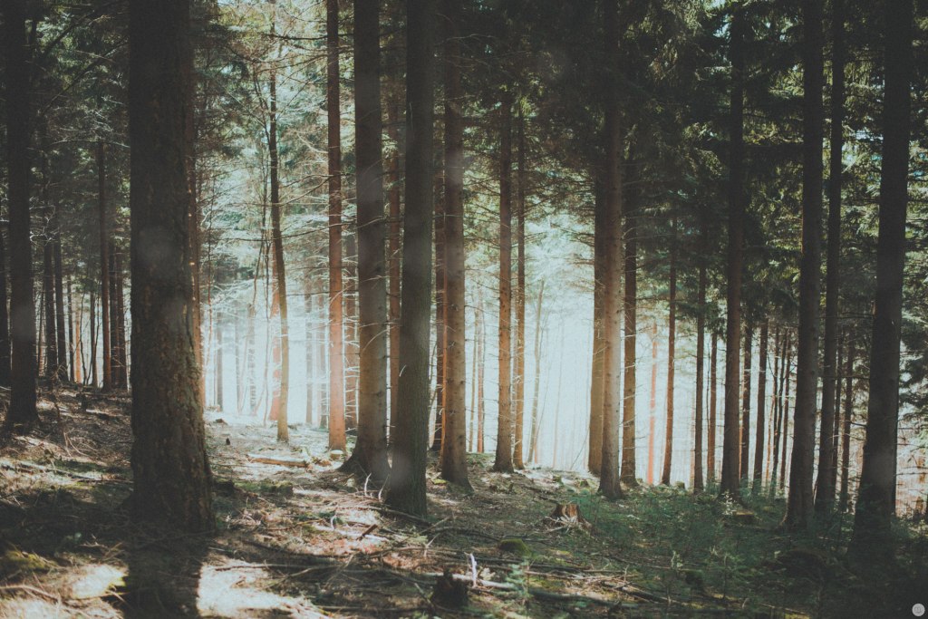 2015-online_0874_breathe_001