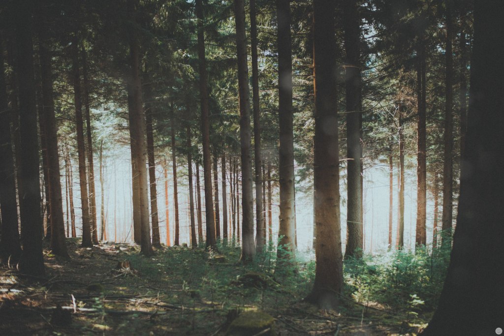 2015-online_0875_breathe_002