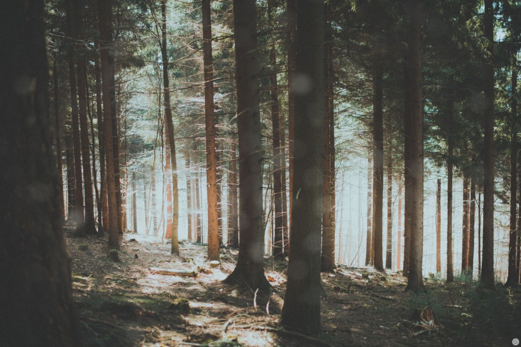 2015-online_0876_breathe_003