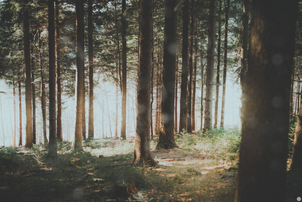 2015-online_0877_breathe_004