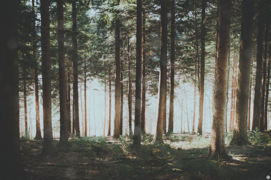 2015-online_0878_breathe_005