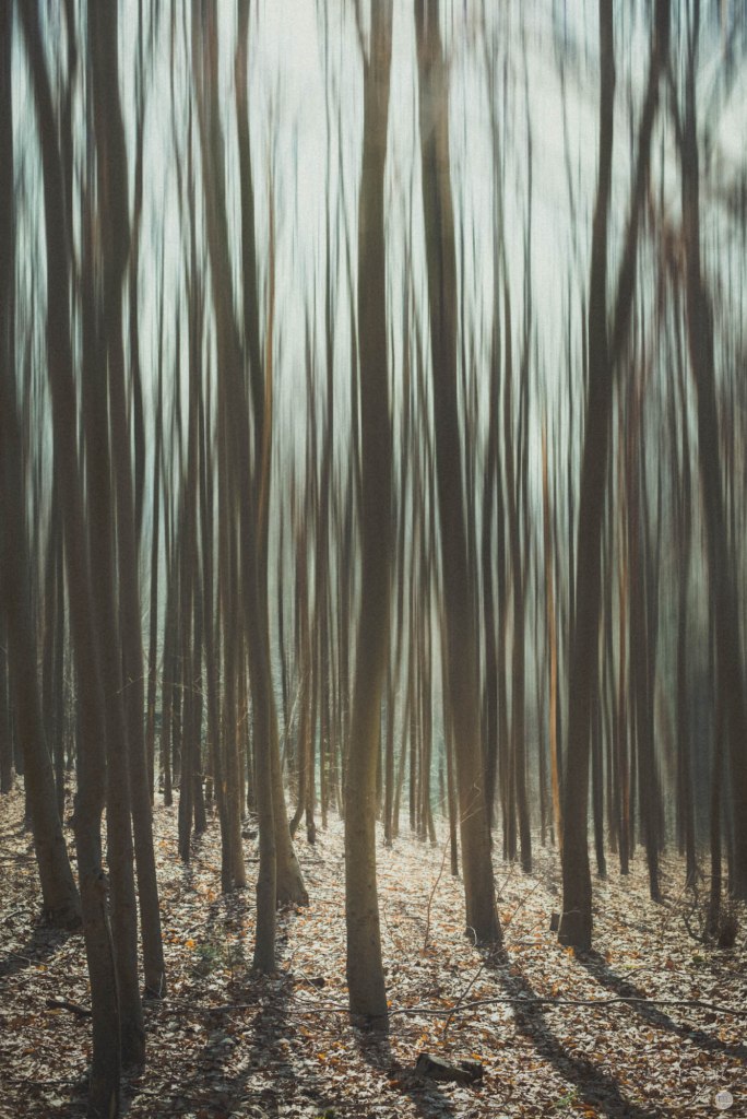 2015-online_0893_motionless-movement_003