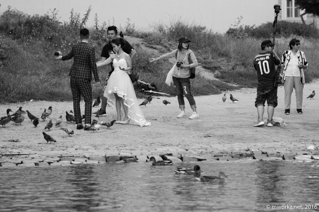 2016-online_0511_Prag-BW_068